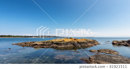 View of Rocky shore with birds at a modern city park, Clover Point 81921511
