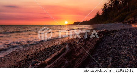 Sandcut Beach on the West Coast of Pacific Ocean. 81921512