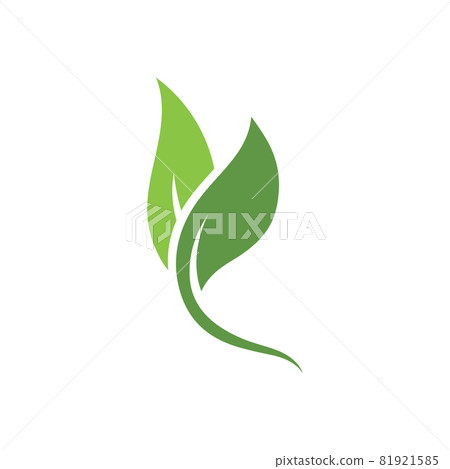 Leaf green plant logo fresh vector - Stock Illustration [81921585] - PIXTA