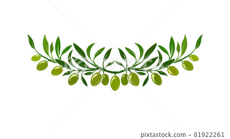 Olive wreath. Vector ornament, italy pattern. Olive wreath. Vector ornament, italy pattern. 81922261