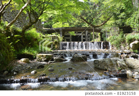 Hiyoshi Taisha Omiya River and Running Ibashi Sakamoto, Otsu City, Shiga Prefecture Hiyoshi Taisha Omiya River and Running Ibashi Sakamoto, Otsu City, Shiga Prefecture 81923158