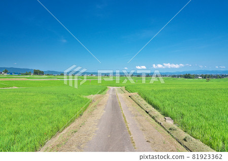 [Landscape of Tonami Plain Dispersed Village] Tonami City, Toyama Prefecture Nanto City 81923362