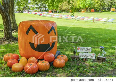 宮城縣秋季公園和南瓜紀念碑萬聖節上城 宮城縣秋季公園和南瓜紀念碑萬聖節上城 81923874