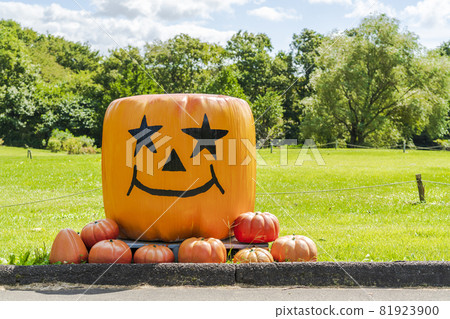 宮城縣秋季公園和南瓜紀念碑萬聖節上城 81923900