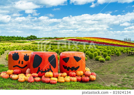 Autumn park and pumpkin monument Halloween Kami Town, Miyagi Prefecture Autumn park and pumpkin monument Halloween Kami Town, Miyagi Prefecture 81924134