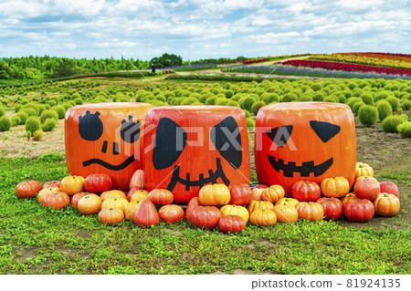 Autumn park and pumpkin monument Halloween Kami Town, Miyagi Prefecture Autumn park and pumpkin monument Halloween Kami Town, Miyagi Prefecture 81924135