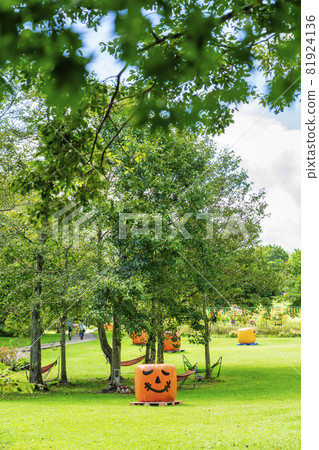 Autumn park and pumpkin monument Halloween Kami Town, Miyagi Prefecture Autumn park and pumpkin monument Halloween Kami Town, Miyagi Prefecture 81924136