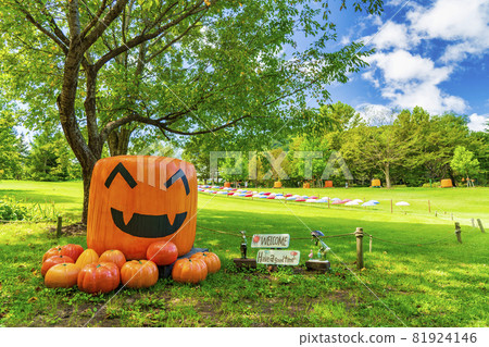 宮城縣秋季公園和南瓜紀念碑萬聖節上城 81924146