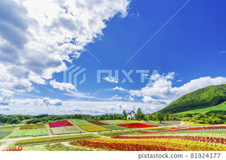 宮城縣上美町秋季公園和花園 81924177