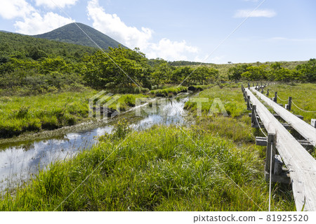 Scenery of Raised Bog, Nasushiobara City, Tochigi Prefecture Scenery of Raised Bog, Nasushiobara City, Tochigi Prefecture 81925520