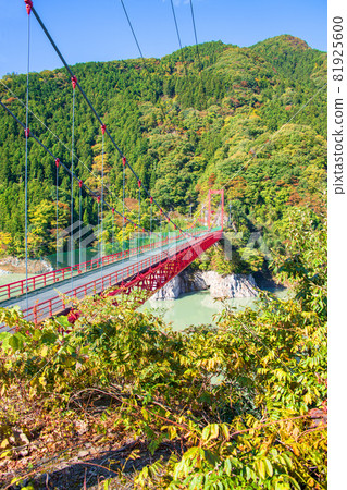 Lake Kanna Lake, Kinbira Bridge, Autumn scenery, Autumn leaves season 81925600