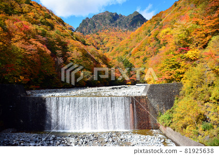Nishizawa Valley-Pure mountain stream and majestic waterfall Nishizawa Valley-Pure mountain stream and majestic waterfall 81925638