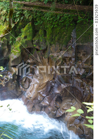 Nagata Gorge R3 Summer Nagata Gorge R3 Summer 81925639