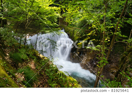Nagata Gorge R3 Summer Nagata Gorge R3 Summer 81925641