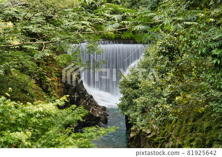 Nagata Gorge R3 Summer Nagata Gorge R3 Summer 81925642