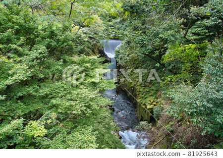 Nagata Gorge R3 Summer Nagata Gorge R3 Summer 81925643