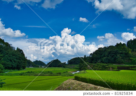 Scenery of Yamada Town R3 Summer 81925834