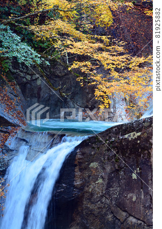 Nishizawa Valley-Pure mountain stream and majestic waterfall Nishizawa Valley-Pure mountain stream and majestic waterfall 81925882