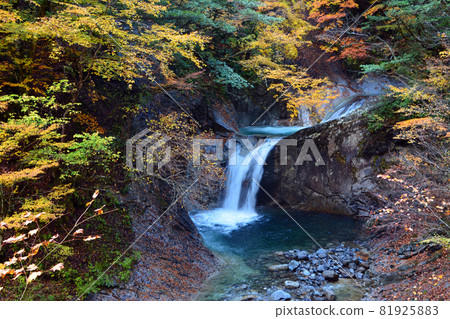 Nishizawa Valley-Pure mountain stream and majestic waterfall Nishizawa Valley-Pure mountain stream and majestic waterfall 81925883