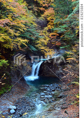 Nishizawa Valley-Pure mountain stream and majestic waterfall Nishizawa Valley-Pure mountain stream and majestic waterfall 81925884
