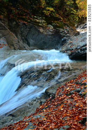 Nishizawa Valley-Pure mountain stream and majestic waterfall 81925885