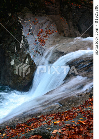 Nishizawa Valley-Pure mountain stream and majestic waterfall Nishizawa Valley-Pure mountain stream and majestic waterfall 81925886