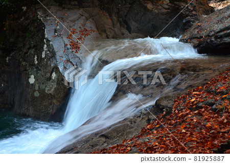 西澤溪谷-清流和雄偉的瀑布 81925887