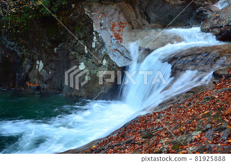 Nishizawa Valley-Pure mountain stream and majestic waterfall 81925888