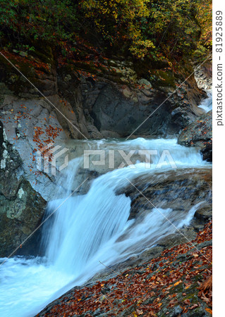西澤溪谷-清流和雄偉的瀑布 81925889