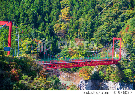 Lake Kanna Lake, Kinbira Bridge, Autumn scenery, Autumn leaves season 81926059