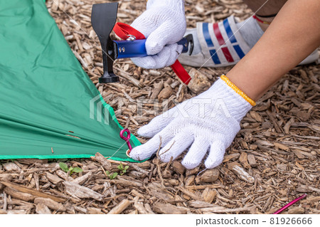 BBQ, outdoor hiking, setting up tents, camping preparation, outdoor activities BBQ, outdoor hiking, setting up tents, camping preparation, outdoor activities 81926666