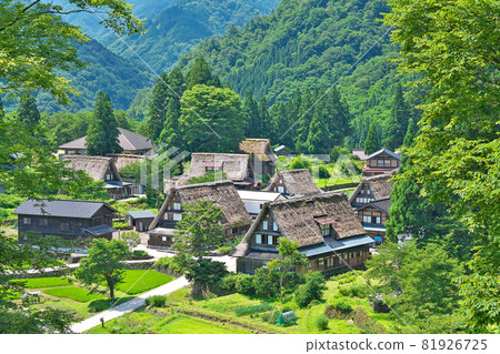 【相倉合掌造村】富山縣南都市相倉 81926725