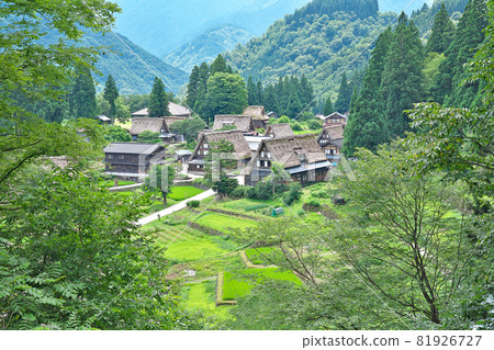 【相倉合掌造村】富山縣南都市相倉 81926727