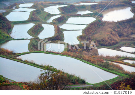 傳統的越後鬆代田田集團 81927019