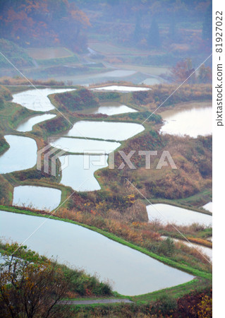 Traditional Echigo Matsushiro Tanada group 81927022