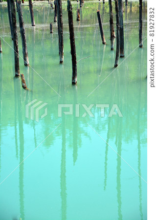 迷人的膠體藍池塘 81927832