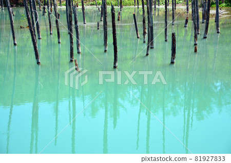 迷人的膠體藍池塘 81927833