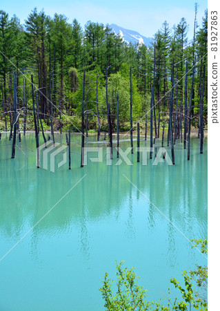 迷人的膠體藍池塘 迷人的膠體藍池塘 81927863