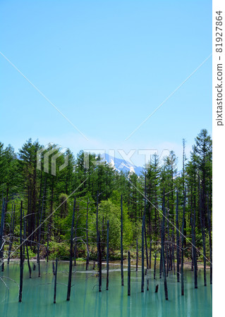 迷人的膠體藍池塘 迷人的膠體藍池塘 81927864