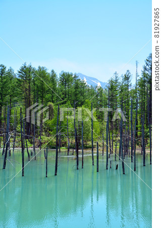 迷人的膠體藍池塘 迷人的膠體藍池塘 81927865