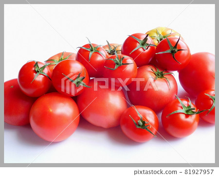各種西紅柿和西紅柿 各種西紅柿和西紅柿 81927957