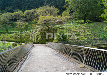 築井公園（築井湖城山公園） 81928052