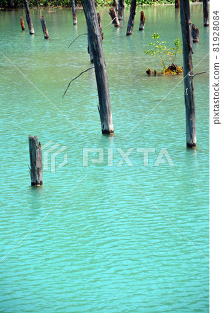 Enchanting colloidal blue pond 81928084