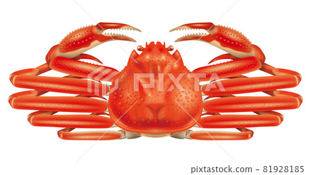 雪蟹圖 81928185
