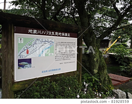 中山道鮫井旅館的風景 中山道鮫井旅館的風景 81928559