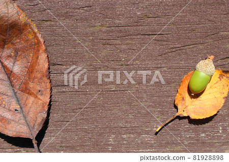 Background_Back_Texture_947_Autumn Background_Back_Texture_947_Autumn 81928898