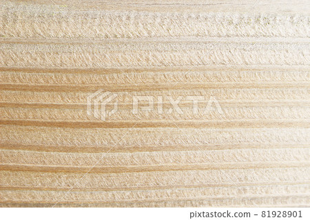 Background_back_texture_945_tree Background_back_texture_945_tree 81928901