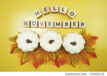 Hello November alphabet letter with pumpkin and maple leaves decoration on yellow background 81929126