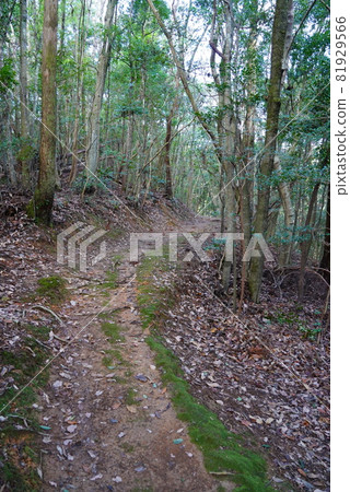 Mountain road 81929566