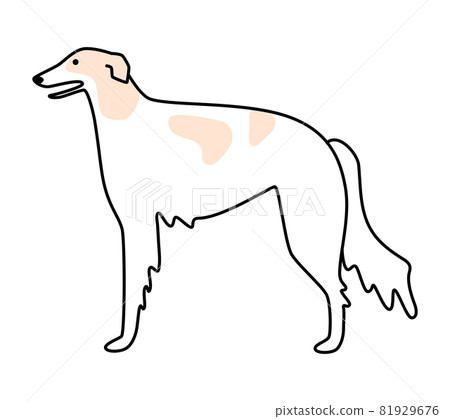 獵狼犬側身 81929676